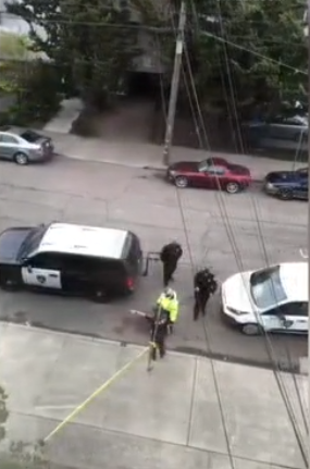 警方|气愤！美国75岁华人老翁散步遇抢劫 被推倒后脑死亡