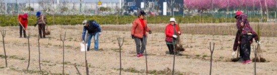 3月10日，在宿城区耿车镇红卫村一片田地(1326574)-20210312091053