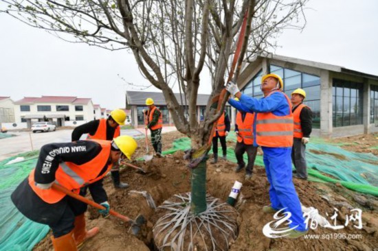 3月10日，在宿城区蔡集镇牛角淹新型农村(1326572)-20210312091056
