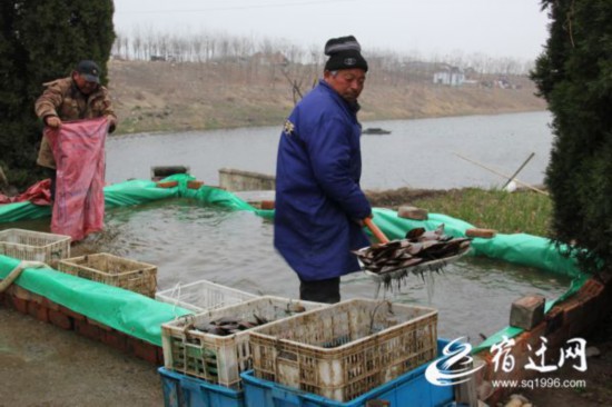 （视频图文）珍珠养成记(全媒体)(分离图(1331495)-20210315083758 - 星速看图王