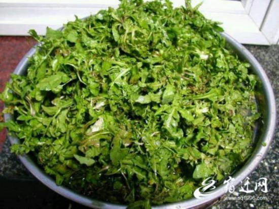 正是一年春好处，万般美味可食之！（速新闻(1328747)-20210316082428