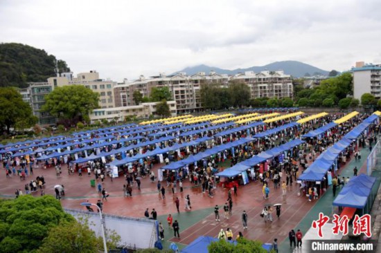 双向选择洽谈会现场。　何畔 摄