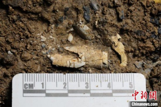 五号坑象牙雕刻残片。四川省文物考古研究院供图 