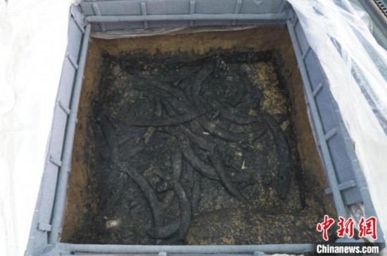 四号坑出土文物场景。四川省文物考古研究院供图 四川省文物考古研究院供图 摄