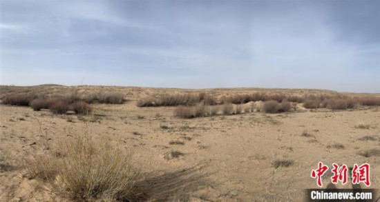 图为浑善达克沙漠腹地深处风景。　奥蓝 摄
