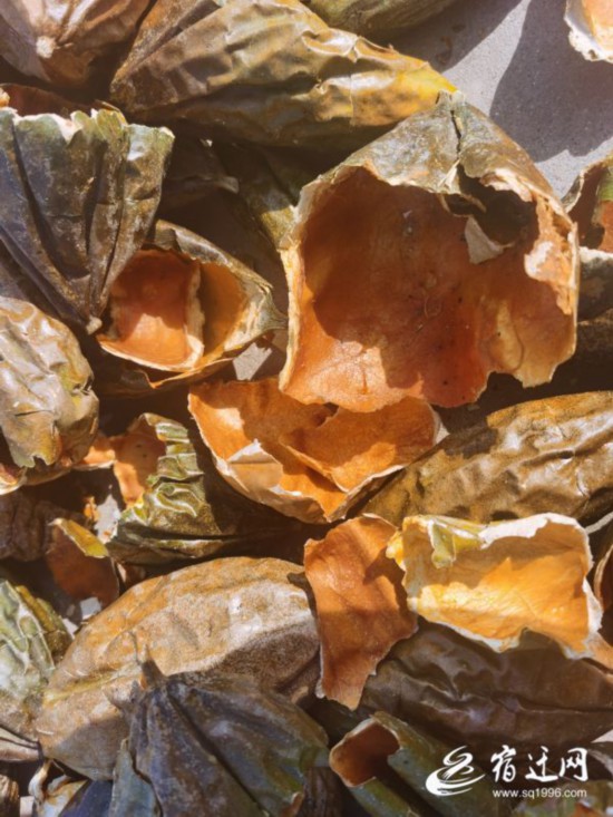 （全媒体） 年销60吨！春风里，这里的瓜(1346961)-20210324083916