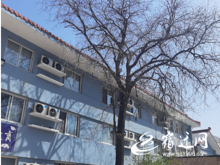 QQ截图20210330081248