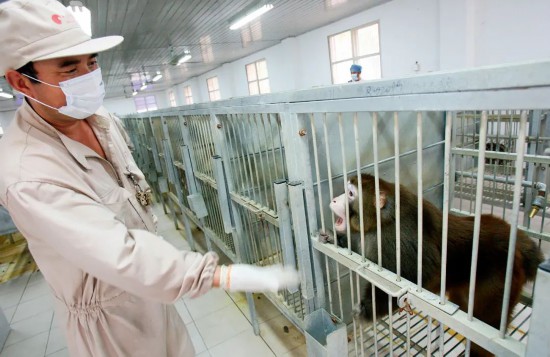 养殖人员检查用于出口的实验猴。图/新华