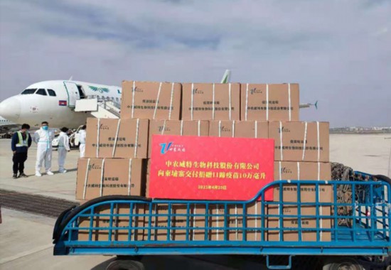 中国第二批援柬埔寨动物疫苗(10万支牛口蹄疫)20日晚运抵金边。