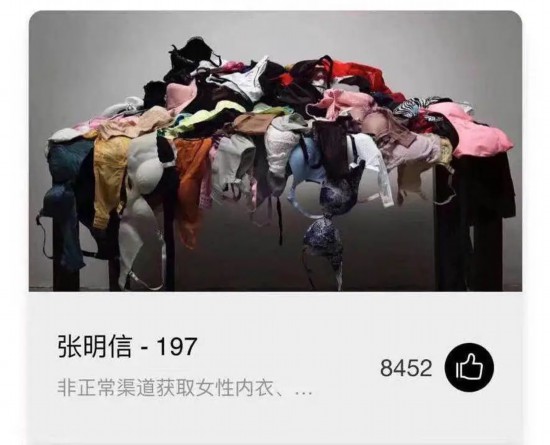 沈女士向新京报记者展示的截图显示，4月27日截至组委会删除作品前，网络投票结果显示《197》共获得8452个赞。受访者供图