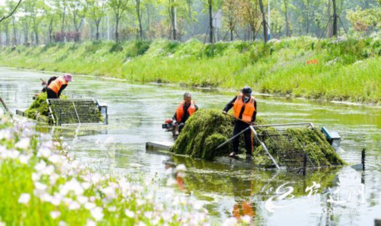 DSC_1917(1423972)-20210508155940