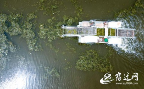 微信图片_20210508124604(1423974)-20210508155950