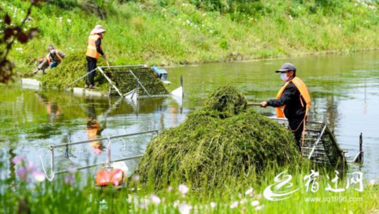 DSC_1985(1423970)-20210508155922