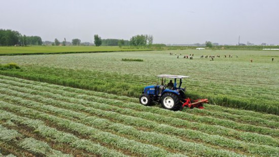 微信图片_20210511090054