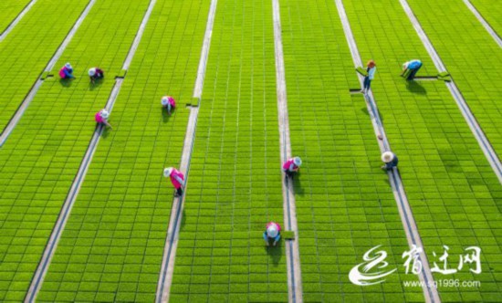 QQ图片20210521091137