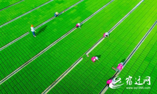 QQ图片20210521091201(1)