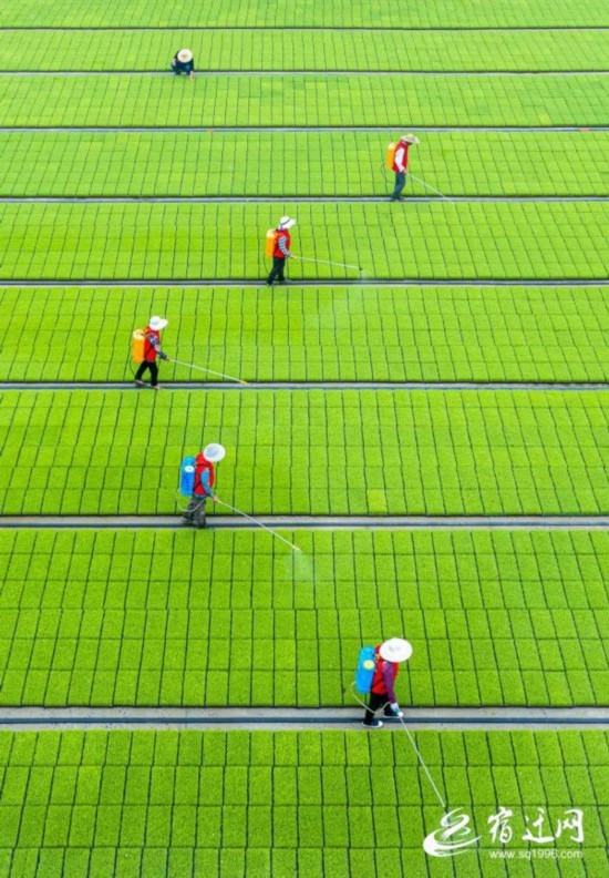 QQ图片20210521091129