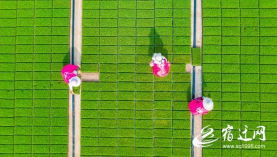 QQ图片20210521091208(1)