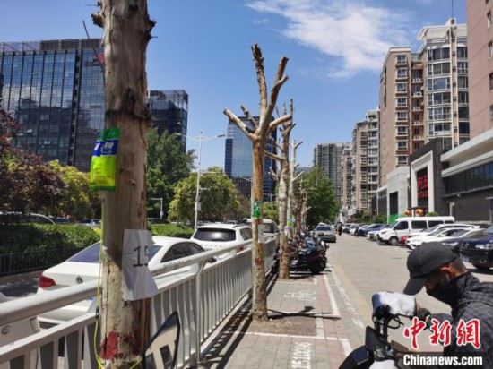 &ldquo;毒树&rdquo;事件引热议郑州官方通报进展：涉事企业6人被刑拘