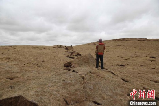 图为地震鼓包。　青海省地质调查院 供图