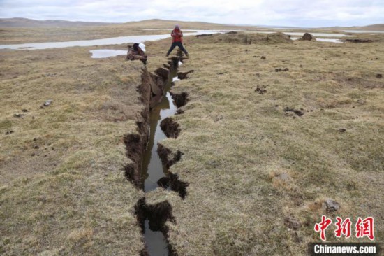 图为地震地裂隙。　青海省地质调查院 供图