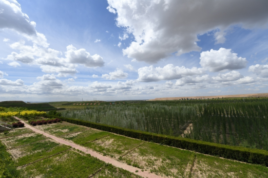  这是内蒙古鄂尔多斯市准格尔旗黑岱沟露天煤矿植被恢复区（5月26日摄）。新华社记者贝赫 摄
