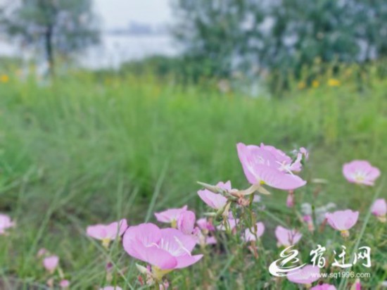 GetAttachment (2)