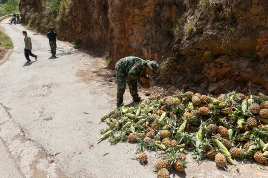 5月31日下午，云南省红塔区洛河乡，工作人员在山体旁边投放了很多食物，希望吸引野象群沿西南方向行走，避免进入城区，发生人象冲突。新京报记者 郑新洽 摄