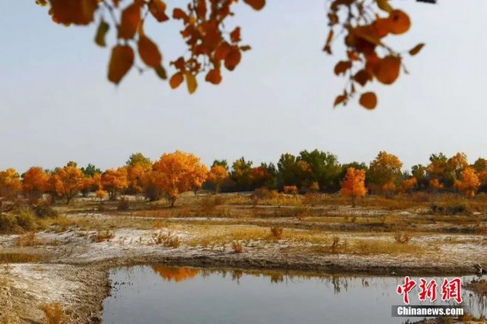 资料图:三河汇聚的塔里木河源头风景秀美,气候宜人,同时又濒临叶尔羌湖、塔里木湖,独特的地理位置造就了独特的原生态景观。姜元昆 摄