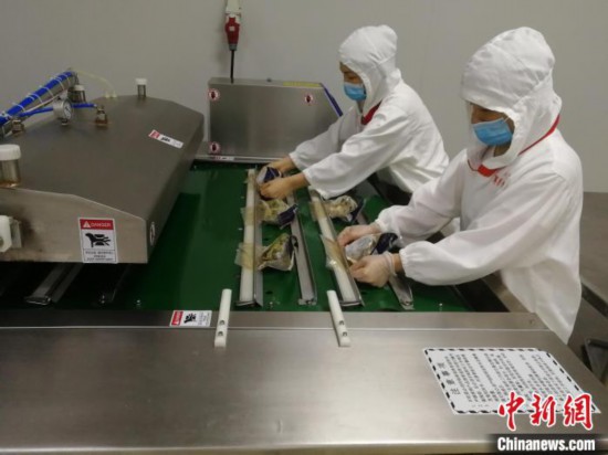 350余吨广东粽子出口过&ldquo;端午&rdquo;