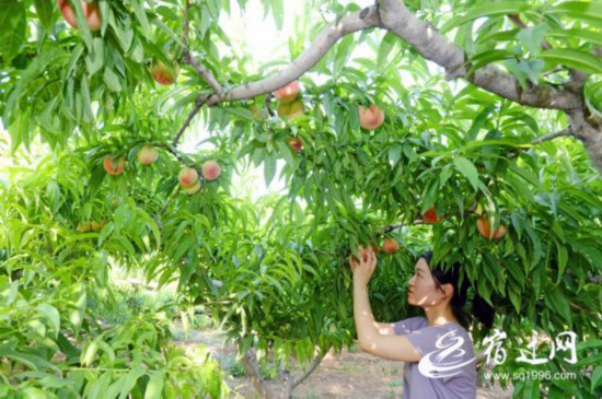 DSC_9147(1493828)-20210619083709