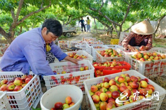 DSC_9107(1493826)-20210619083715