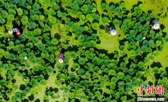 2020年以来江西省扶贫采购交易额累计达2.4亿元