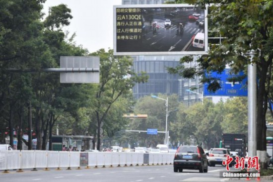 资料图：昆明街头的电子屏曝光不礼让斑马线车辆。中新社记者 任东 摄