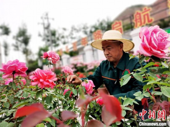 青海西宁城市公园里的“草帽场长”：见证西北城市生态蝶变