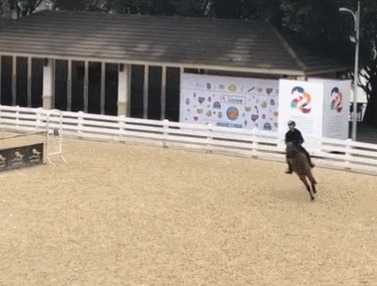 李振强在训练中。国际马术联合会官方视频截图