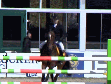 李耀峰在比赛中。国际马术联合会官方视频截图