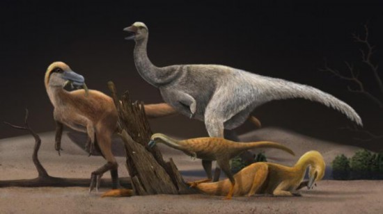 四种代表性的阿尔瓦雷斯龙类恐龙的生态复原图,同时展现不同演化阶段