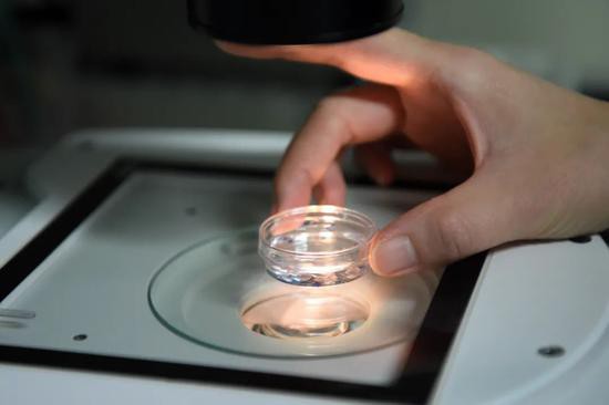  2016年，重庆市遗传与生殖研究所实验室首次向媒体开放 唐奕 摄