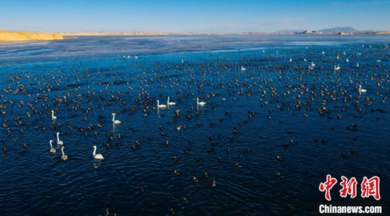 《柴达木盆地重点流域生态保护规划》编制调研工作正式启动