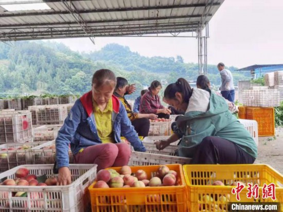 &ldquo;双百亿&rdquo;工程串起三峡库区万州生态循环农业产业链