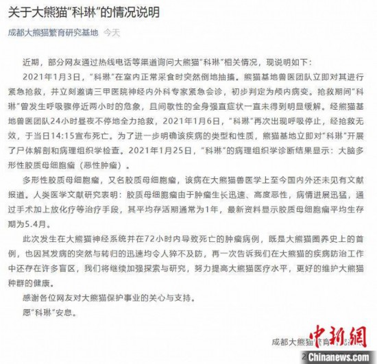 大熊猫&ldquo;科琳&rdquo;患病死亡官方公布其死因