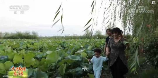 【走进乡村看小康】湖南津市：&ldquo;小存折&rdquo;促共治 民风淳产业兴