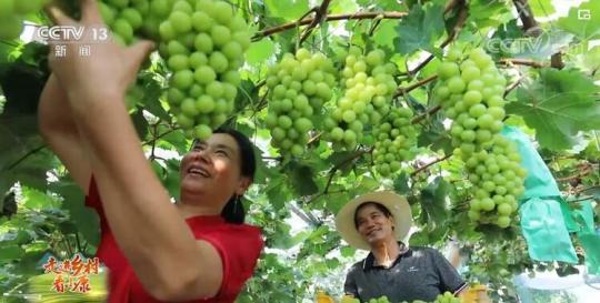 【走进乡村看小康】湖南津市：&ldquo;小存折&rdquo;促共治 民风淳产业兴