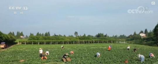 【走进乡村看小康】湖南津市：&ldquo;小存折&rdquo;促共治 民风淳产业兴