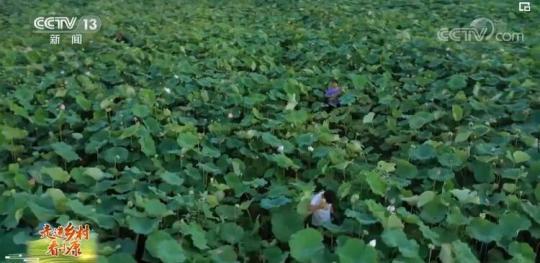 【走进乡村看小康】湖南津市：&ldquo;小存折&rdquo;促共治 民风淳产业兴