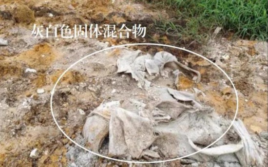 新景源环保公司在租用土地内非法填埋天然气脱硫石膏，形成灰白色固体混合物，经鉴定属于危险废物