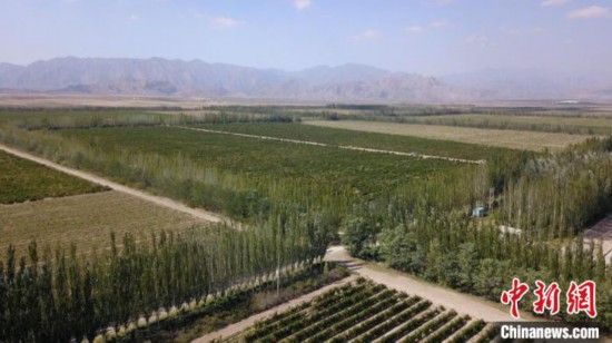 探寻宁夏葡萄酒的前世今生：从&ldquo;一瓶酒&rdquo;到全产业链