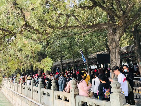 图/新京报记者 王真真 摄