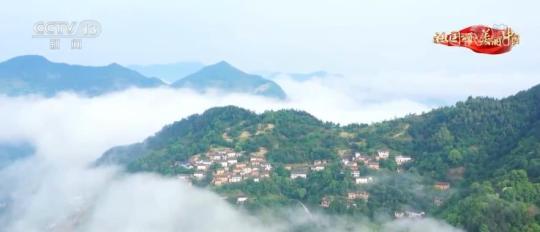 【祖国颂美丽中国】安徽歙县：新安江街口大桥三年建设终通车 多年夙愿今日圆